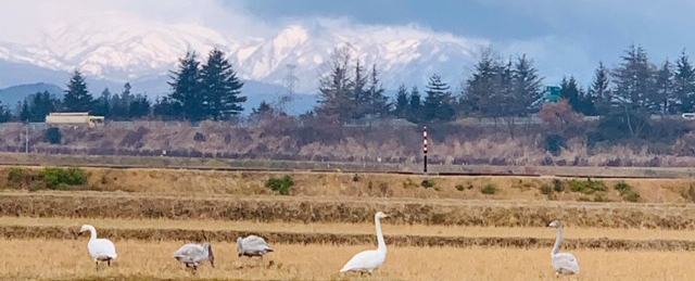 平泉中尊寺近くの古民家高級民泊（一棟貸切）